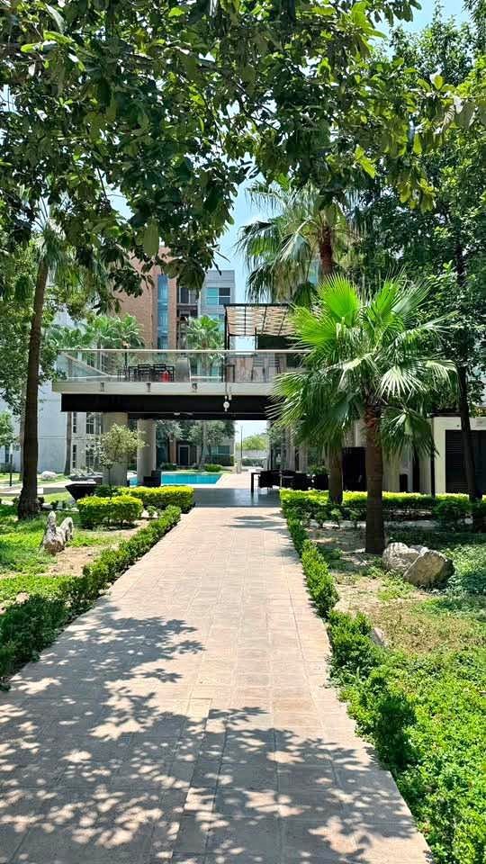 Privates Zimmer im Zentrum mit Pool-Zugang, Monterrey
